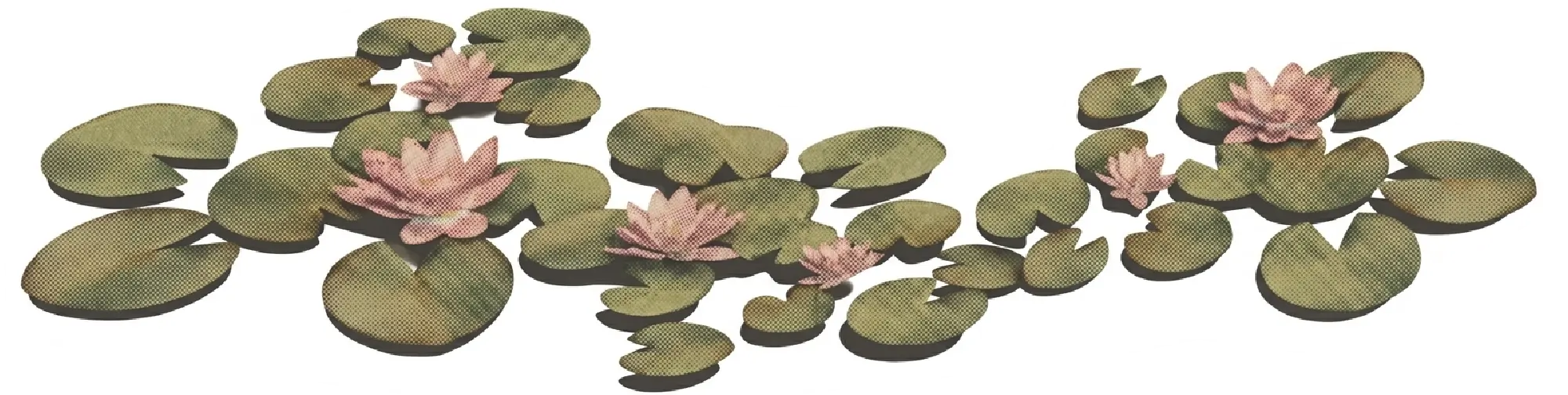 花の画像